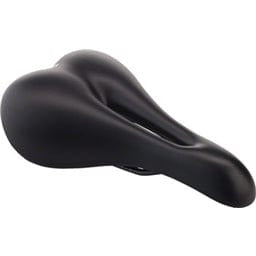 Wing Bike Black Saddle